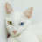 @_deybid's avatar