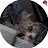 @KjJhj-l4x