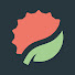oixgfkm_WpA-channel-avatar-Lychee