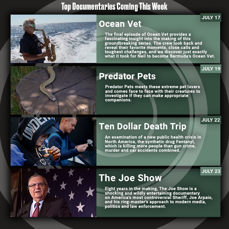Post from Documentary Central