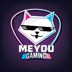 MeYou Gaming ID net worth