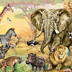 WILD EARTH 0.7