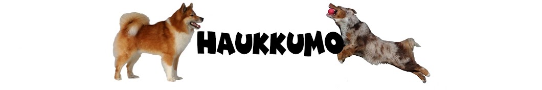 Haukkumo YouTube 频道头像