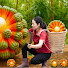 GX-ESwiftGk-channel-avatar-Harvest Natural