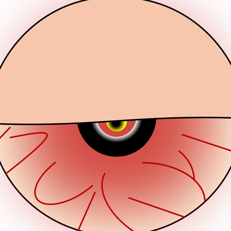 dorbOrb