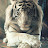 @D-ok6fr's avatar