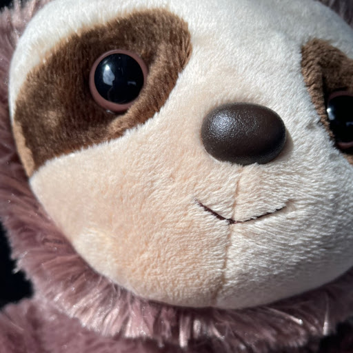 random sloth