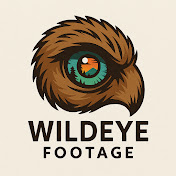 WildEye Footage