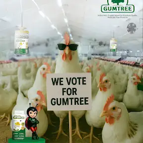 Gumtree Traps  YouTube channel
