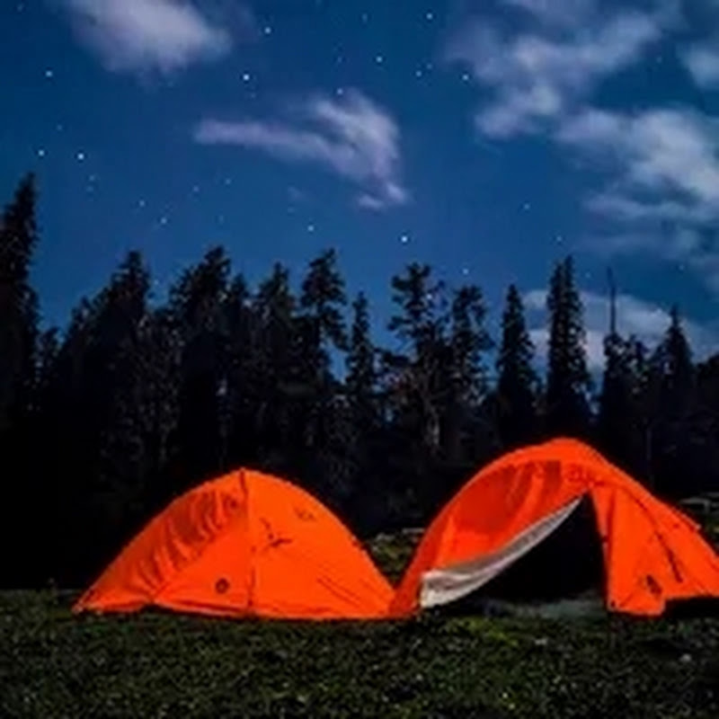 Max Camping  avatar