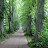 @BoEscapes Avatar