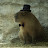 Capybara boy