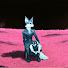 Ej5KpLUuSnQ-channel-avatar-MracnaLisica