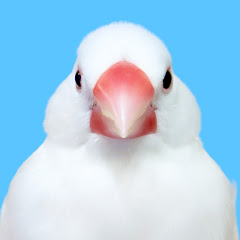 たいち