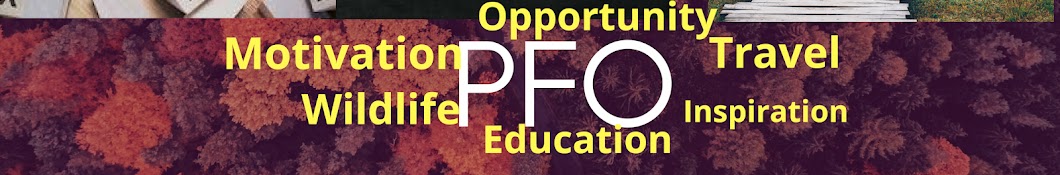 Possible Future Opportunity (PFO) رمز قناة اليوتيوب