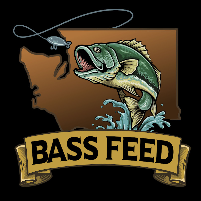 BassFeed TV