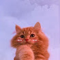 Viral Chill Songs Avatar