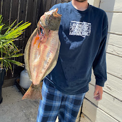 judebefishin