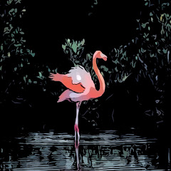 Dresden, the Flamingo - Topic