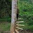 -GspFAcg_Ws-channel-avatar-A Lâm TV