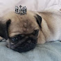 The King Pug - Roy   logo