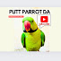 8o_65tRkFvM-channel-avatar-Putt Parrot Da 💚
