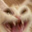 @놁