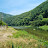 @푸른산-t1b