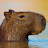 @CapybaraALK