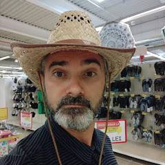 Stefan Liviu