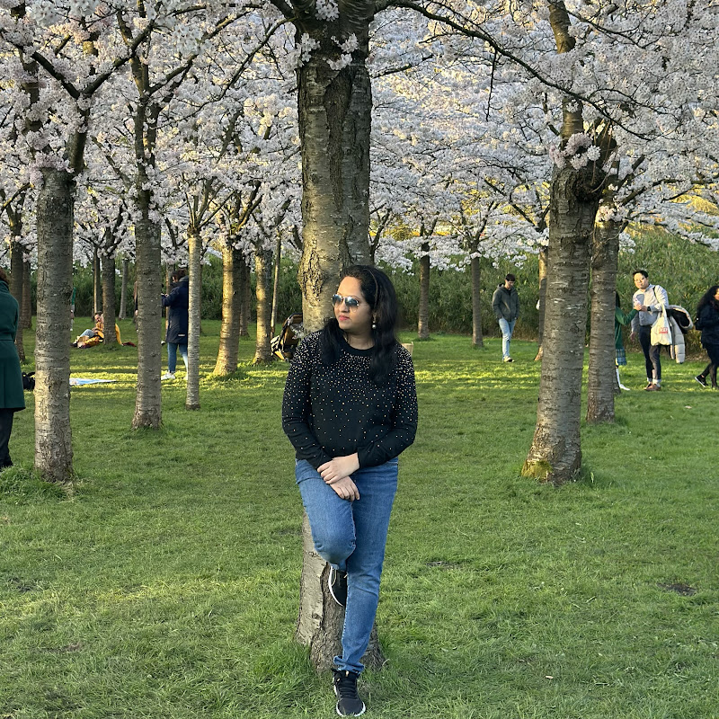 Desi In Netherlands channel avatar