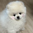 pYEbvjsXLlc-channel-avatar-다일록