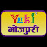yn0XBgmhRRY-channel-avatar-Yuki Bhojpuri Geet