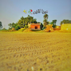 pindi bhattian vlog786