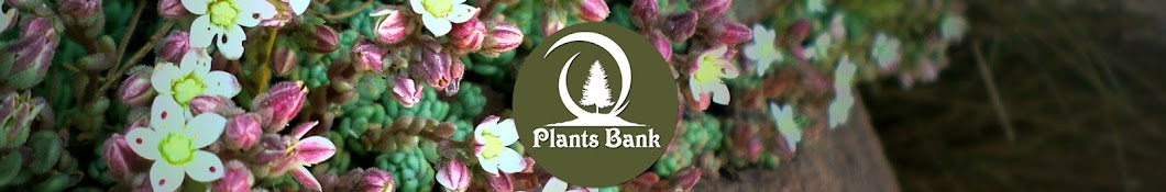Plants Bank YouTube channel avatar