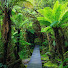 X3W2_FqANlk-channel-avatar-WillWonderWorld