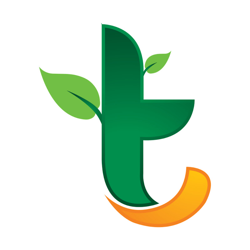 Tabib