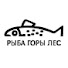 6UKB5NA2igA-channel-avatar-Рыба Горы Лес