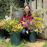 O4K6SfADHtk-channel-avatar-Stems by Suzanne Cut Flower Garden