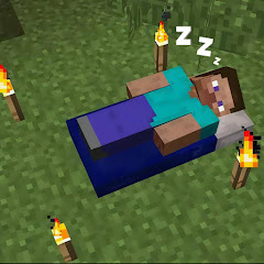 Zzz Steve Sleep