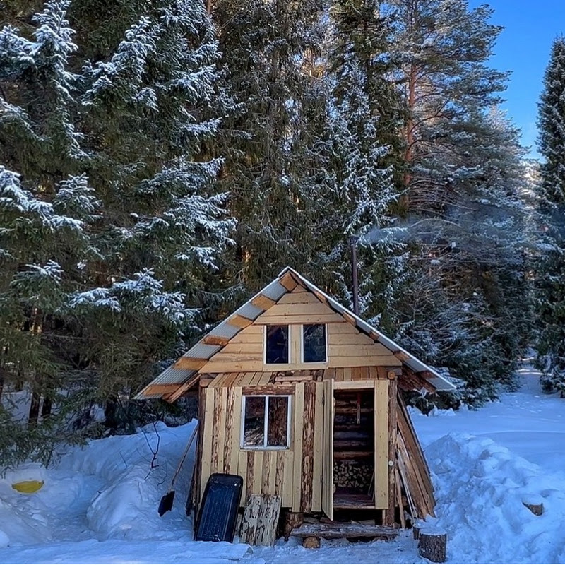Life in the Siberian forest Logo