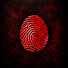 wy-WSeHmrzA-channel-avatar-FINAL TRACE