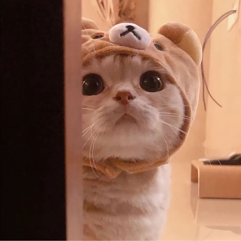 CouchPotatoWithAmbition