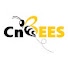 hOOOjR_yAOM-channel-avatar-CnBees