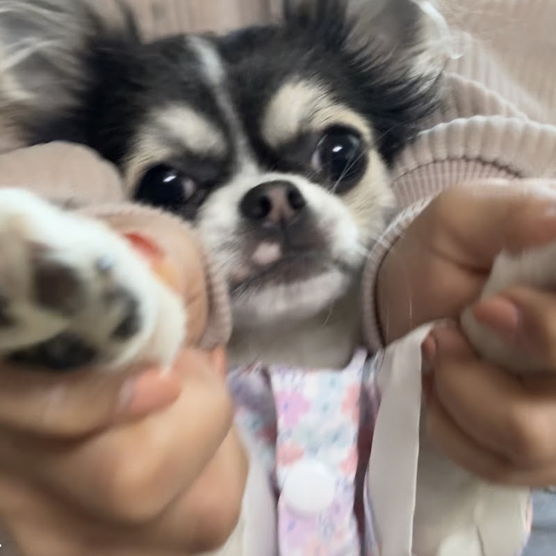 Love 꾸마
