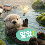 알았쇼츠