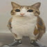 RAS73Khb8sA-channel-avatar-WeakLink3