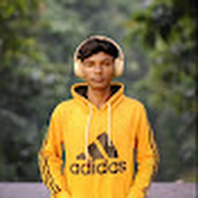 Mr vlogger 1234