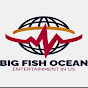 BIG FISH ENT logo