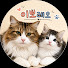 Qoozf-QhjCA-channel-avatar-이뽀레오
